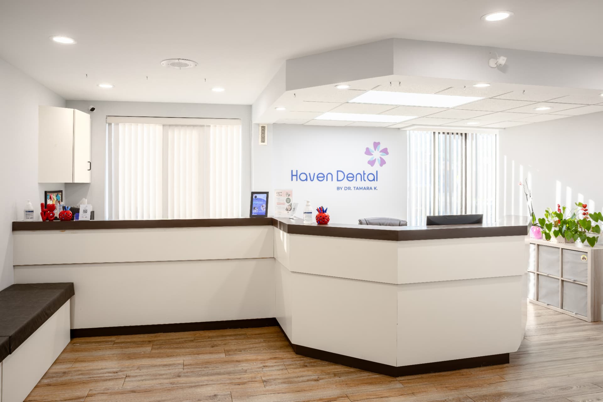 Haven Dental reception desk with branded signage