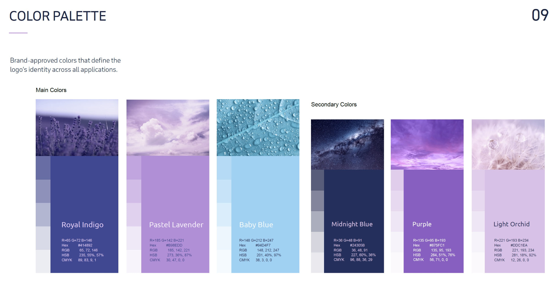 Haven Dental brand color palette from the brand guidelines